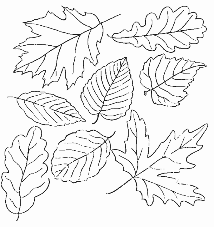 ぬりえページ: 秋のシーズン (自然) #164052 - 無料の印刷可能なぬりえページ