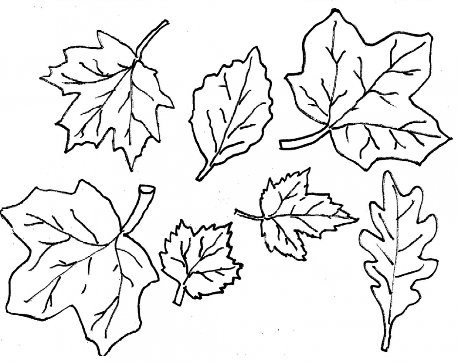 ぬりえページ: 秋のシーズン (自然) #164059 - 無料の印刷可能なぬりえページ