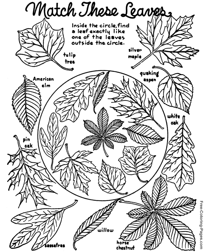 ぬりえページ: 秋のシーズン (自然) #164089 - 無料の印刷可能なぬりえページ