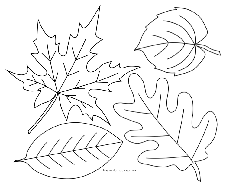 ぬりえページ: 秋のシーズン (自然) #164199 - 無料の印刷可能なぬりえページ