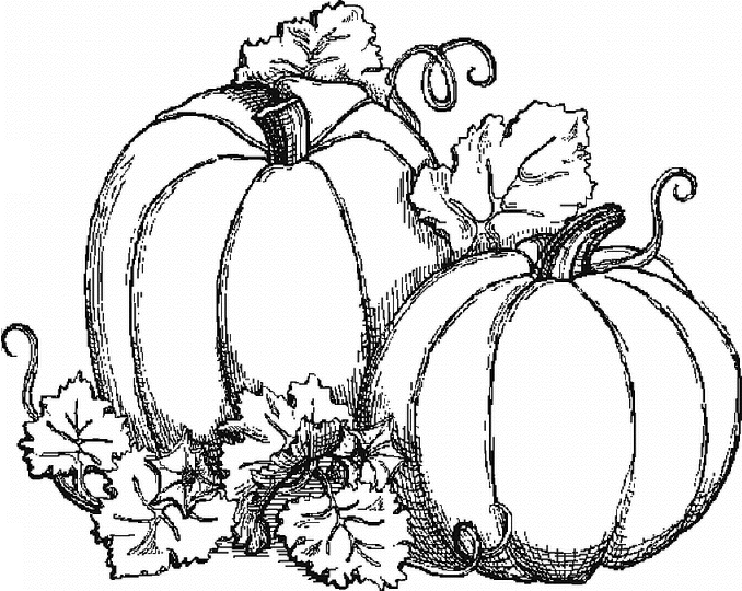 ぬりえページ: 秋のシーズン (自然) #164293 - 無料の印刷可能なぬりえページ