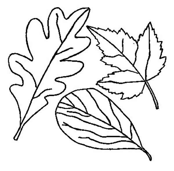 ぬりえページ: 秋のシーズン (自然) #164295 - 無料の印刷可能なぬりえページ