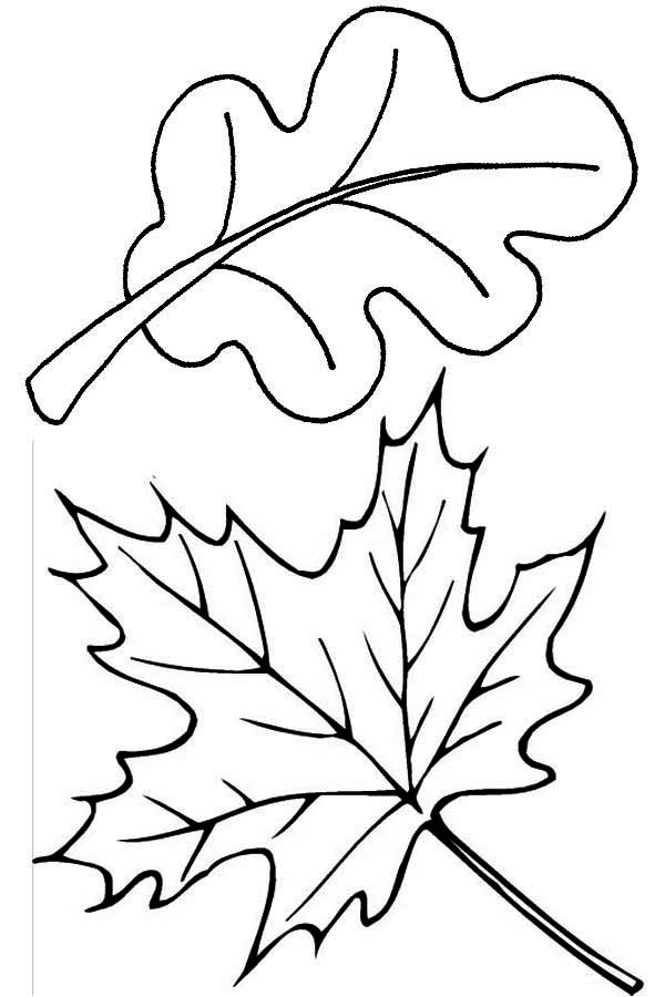 ぬりえページ: 秋のシーズン (自然) #164386 - 無料の印刷可能なぬりえページ