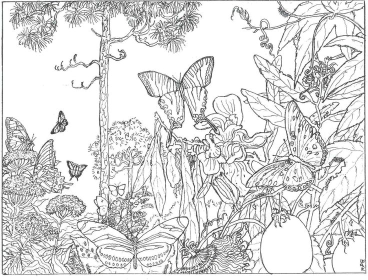 ぬりえページ: 森 (自然) #157026 - 無料の印刷可能なぬりえページ