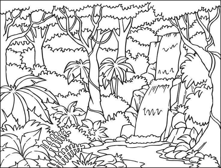 ぬりえページ: 森 (自然) #157061 - 無料の印刷可能なぬりえページ