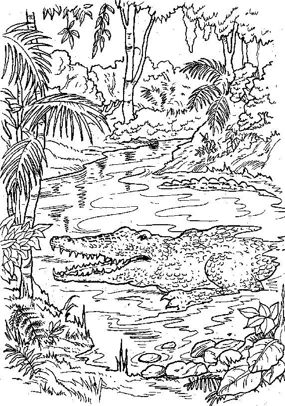 ぬりえページ: 森 (自然) #157236 - 無料の印刷可能なぬりえページ