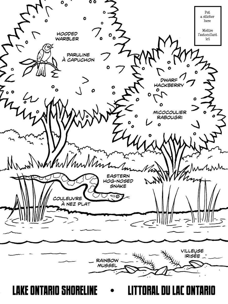 ぬりえページ: 湖 (自然) #166147 - 無料の印刷可能なぬりえページ