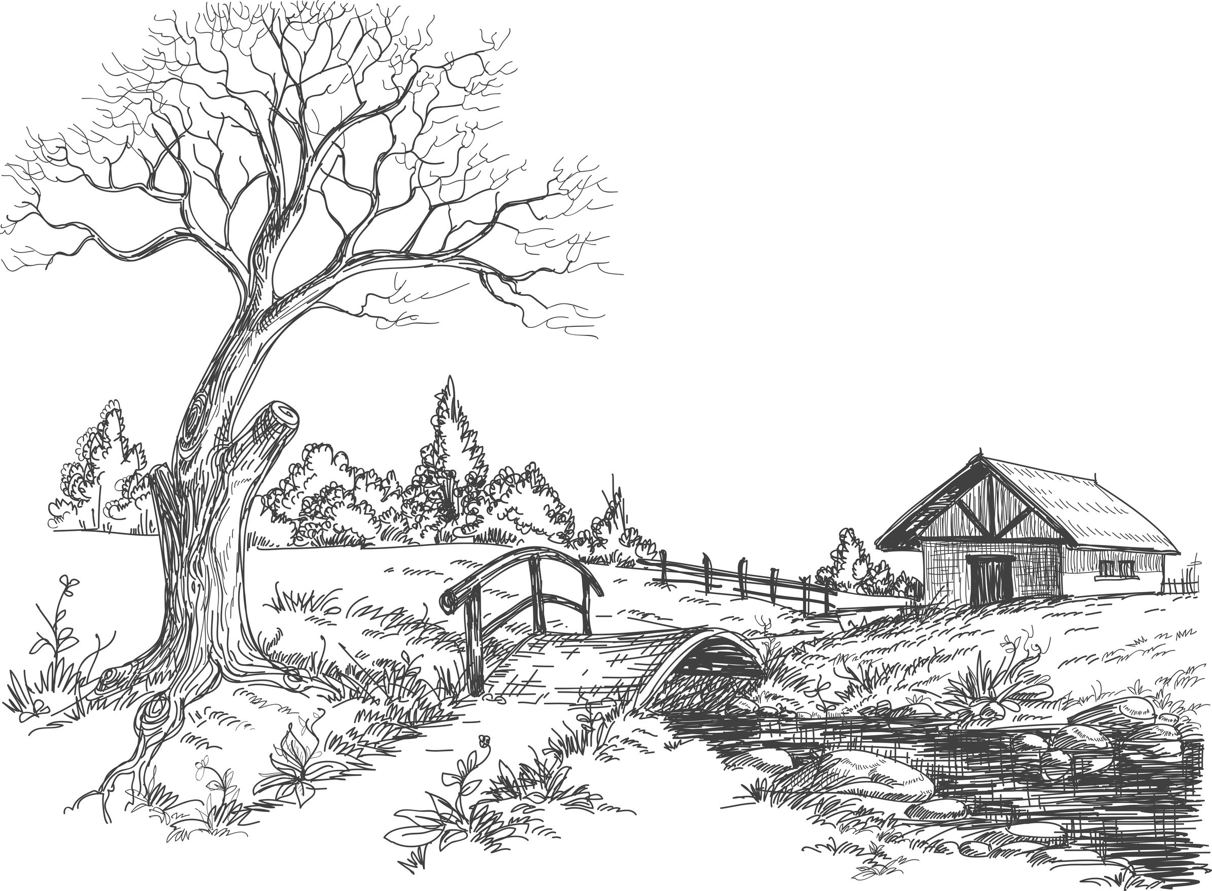 ぬりえページ: 田舎 (自然) #165765 - 無料の印刷可能なぬりえページ