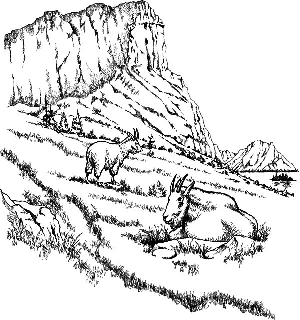 ぬりえページ: 山 (自然) #156739 - 無料の印刷可能なぬりえページ