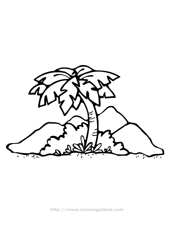 ぬりえページ: パーム (自然) #161169 - 無料の印刷可能なぬりえページ