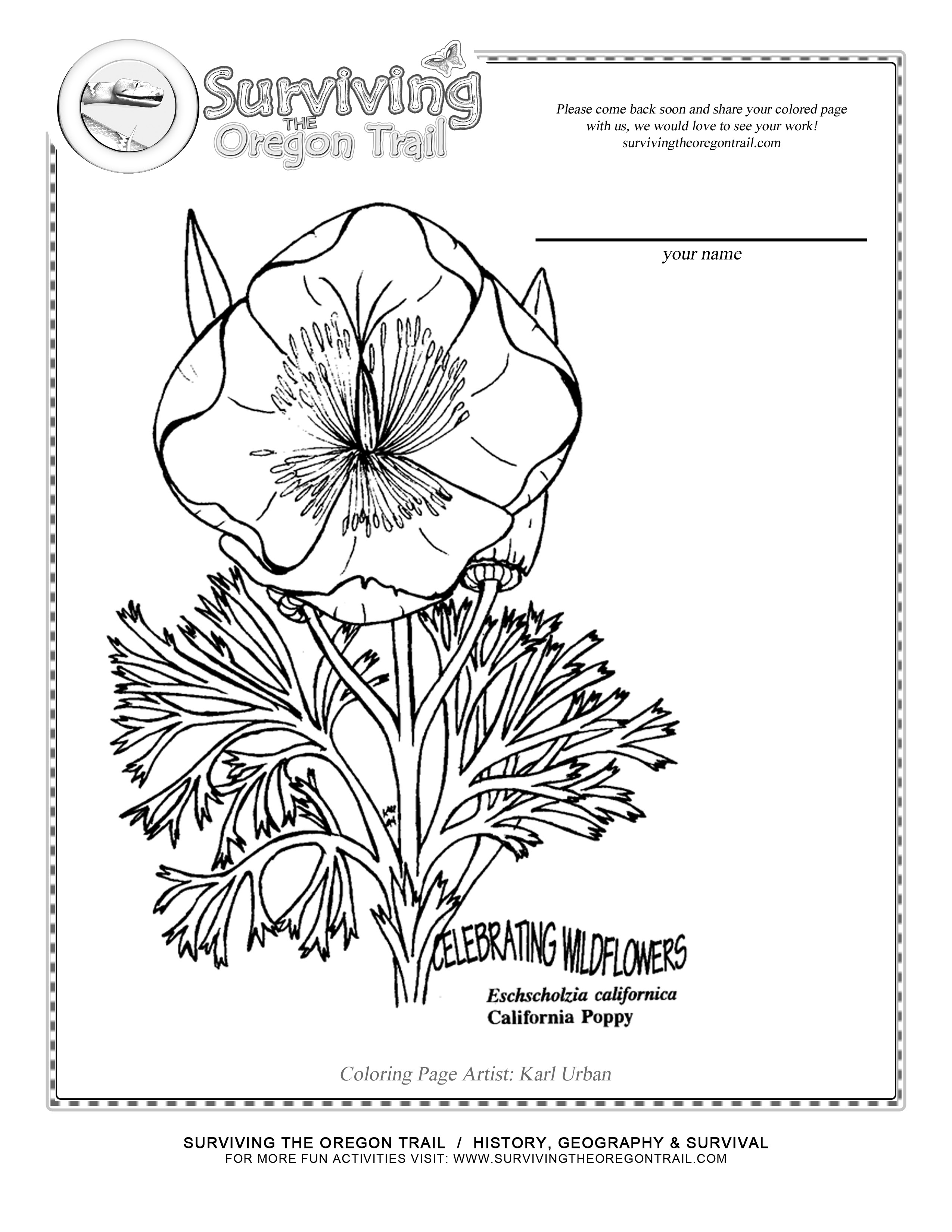 ぬりえページ: ポピー (自然) #162495 - 無料の印刷可能なぬりえページ