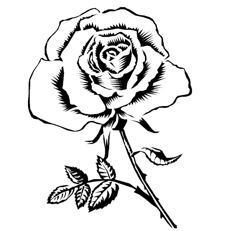 ぬりえページ: バラ (自然) #161863 - 無料の印刷可能なぬりえページ