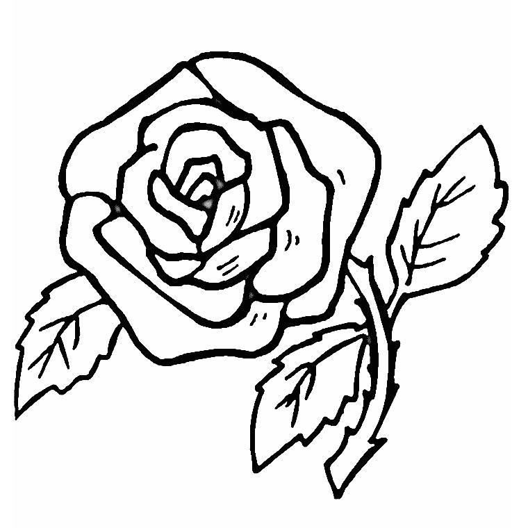 ぬりえページ: バラ (自然) #161870 - 無料の印刷可能なぬりえページ