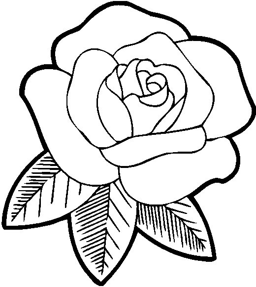 ぬりえページ: バラ (自然) #161871 - 無料の印刷可能なぬりえページ
