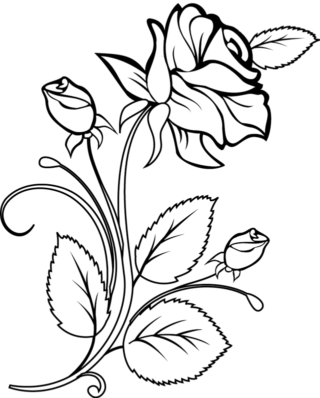 ぬりえページ: バラ (自然) #161874 - 無料の印刷可能なぬりえページ