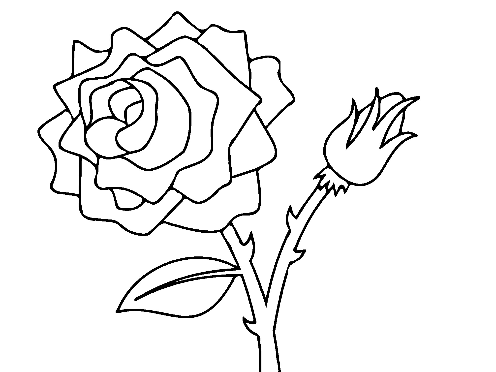 ぬりえページ: バラ (自然) #161881 - 無料の印刷可能なぬりえページ