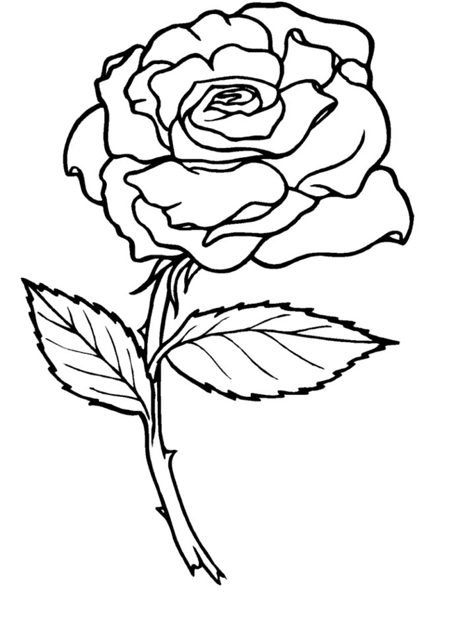 ぬりえページ: バラ (自然) #161884 - 無料の印刷可能なぬりえページ