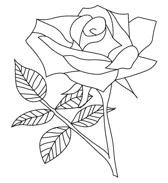 ぬりえページ: バラ (自然) #161894 - 無料の印刷可能なぬりえページ