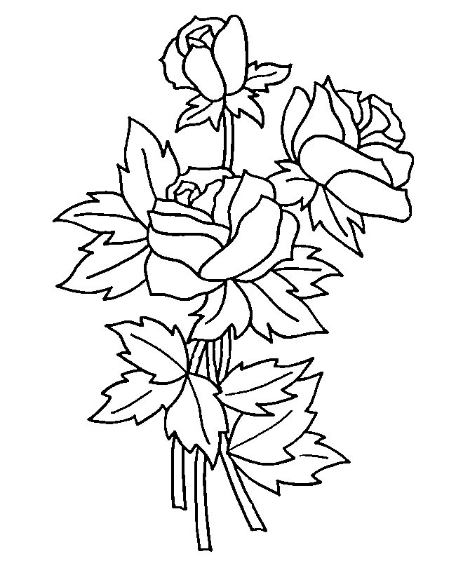 ぬりえページ: バラ (自然) #161895 - 無料の印刷可能なぬりえページ