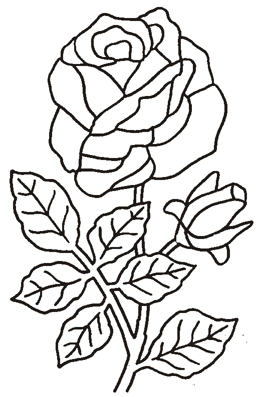 ぬりえページ: バラ (自然) #161899 - 無料の印刷可能なぬりえページ