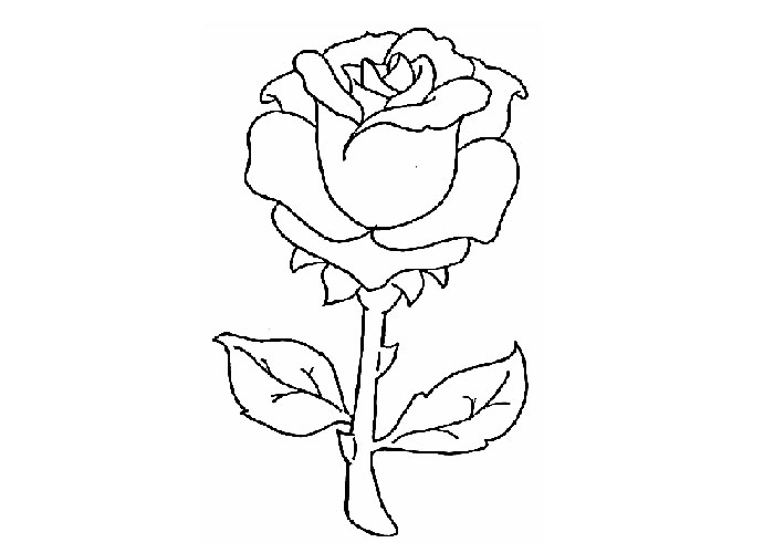 ぬりえページ: バラ (自然) #161907 - 無料の印刷可能なぬりえページ