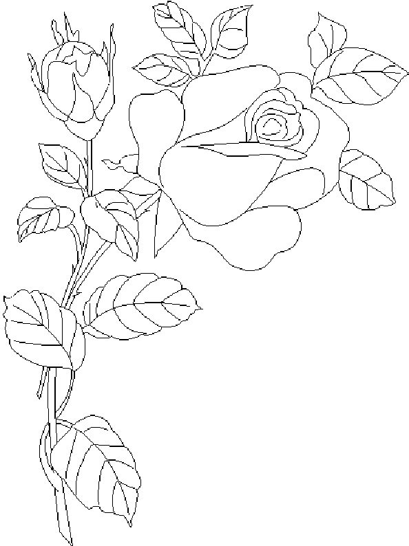 ぬりえページ: バラ (自然) #161949 - 無料の印刷可能なぬりえページ