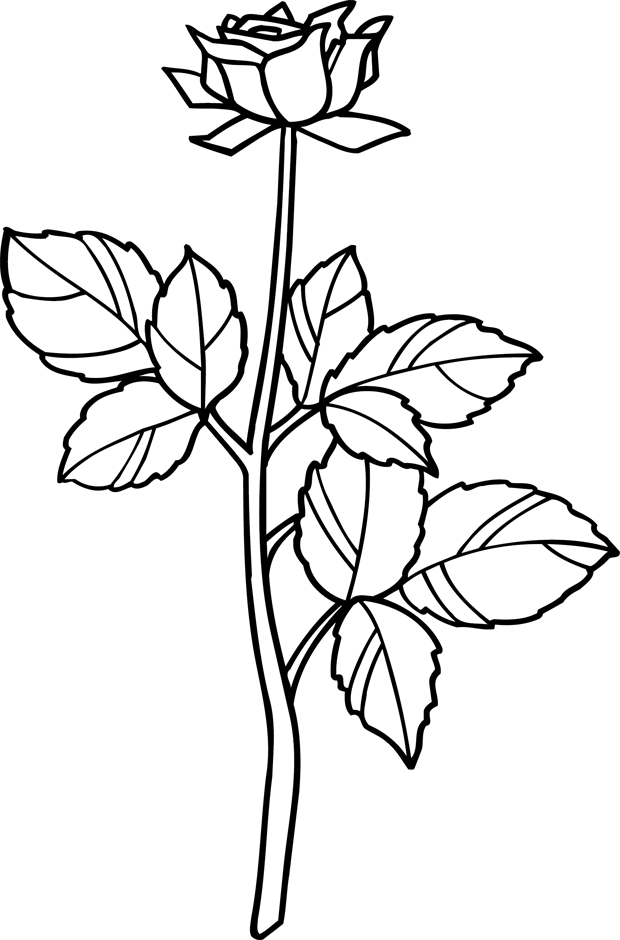 ぬりえページ: バラ (自然) #161973 - 無料の印刷可能なぬりえページ