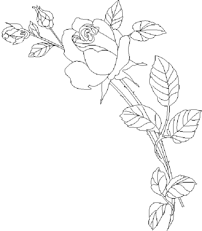 ぬりえページ: バラ (自然) #161974 - 無料の印刷可能なぬりえページ