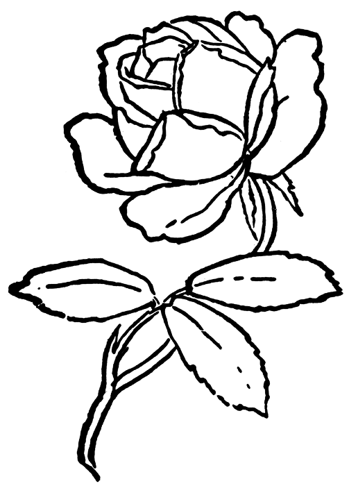 ぬりえページ: バラ (自然) #161989 - 無料の印刷可能なぬりえページ