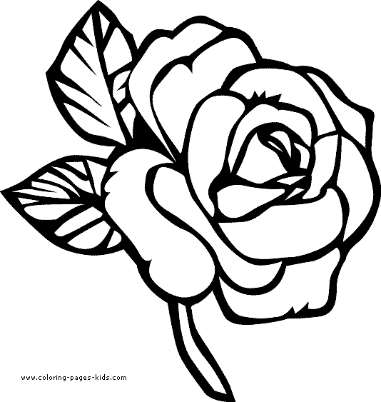 ぬりえページ: バラ (自然) #162017 - 無料の印刷可能なぬりえページ
