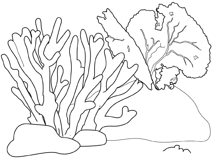 ぬりえページ: 海底 (自然) #160193 - 無料の印刷可能なぬりえページ