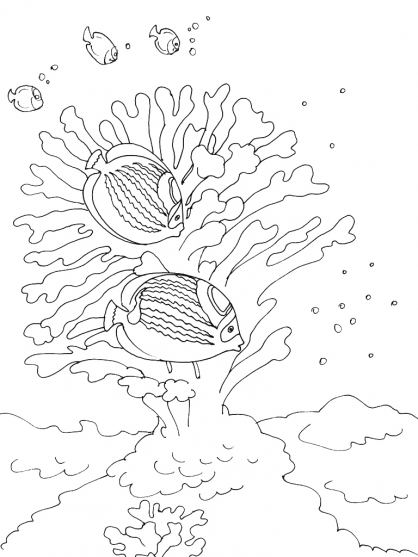 ぬりえページ: 海底 (自然) #160248 - 無料の印刷可能なぬりえページ
