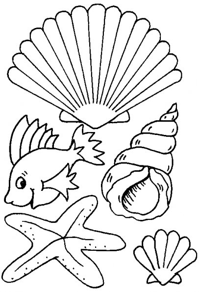ぬりえページ: 貝 (自然) #163138 - 無料の印刷可能なぬりえページ