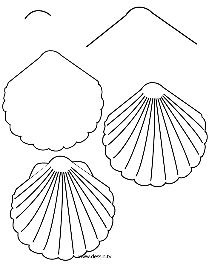 ぬりえページ: 貝 (自然) #163239 - 無料の印刷可能なぬりえページ