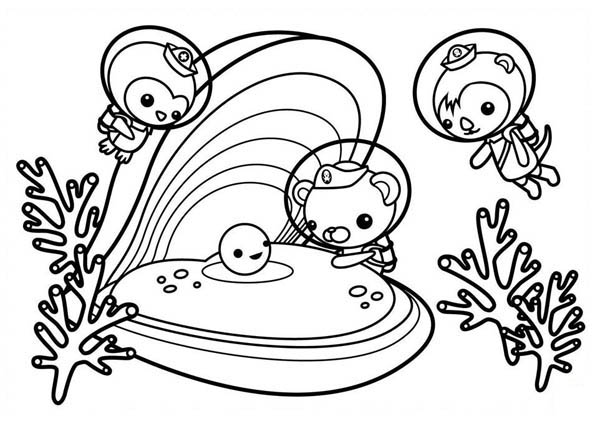 ぬりえページ: 貝 (自然) #163384 - 無料の印刷可能なぬりえページ