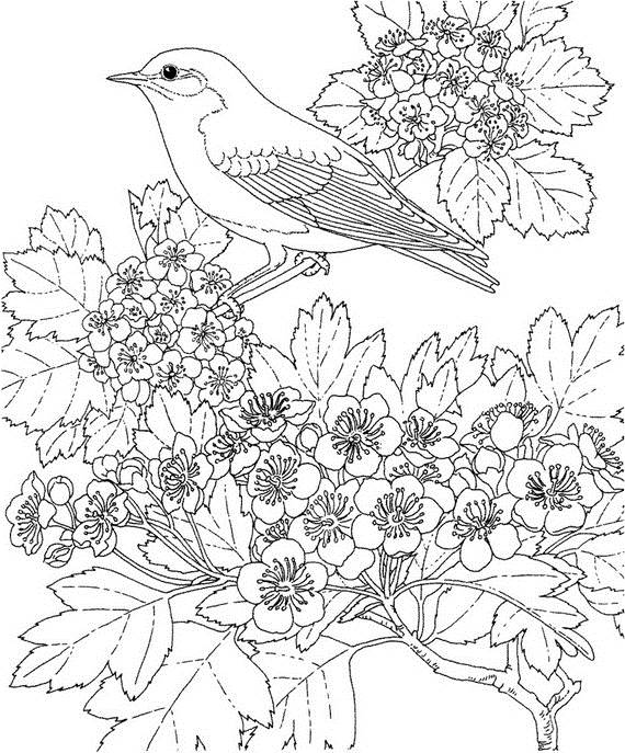 ぬりえページ: 春の季節 (自然) #165058 - 無料の印刷可能なぬりえページ