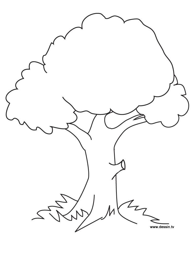 ぬりえページ: 木 (自然) #154667 - 無料の印刷可能なぬりえページ