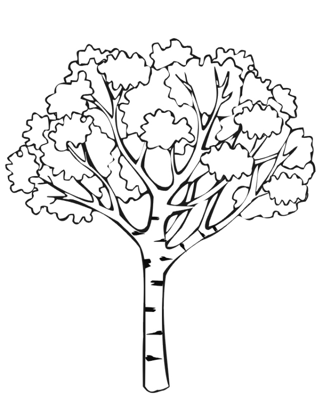 ぬりえページ: 木 (自然) #154671 - 無料の印刷可能なぬりえページ