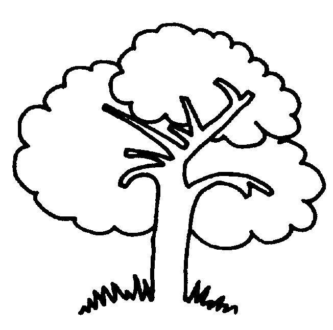 ぬりえページ: 木 (自然) #154672 - 無料の印刷可能なぬりえページ
