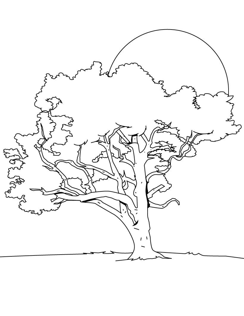 ぬりえページ: 木 (自然) #154677 - 無料の印刷可能なぬりえページ