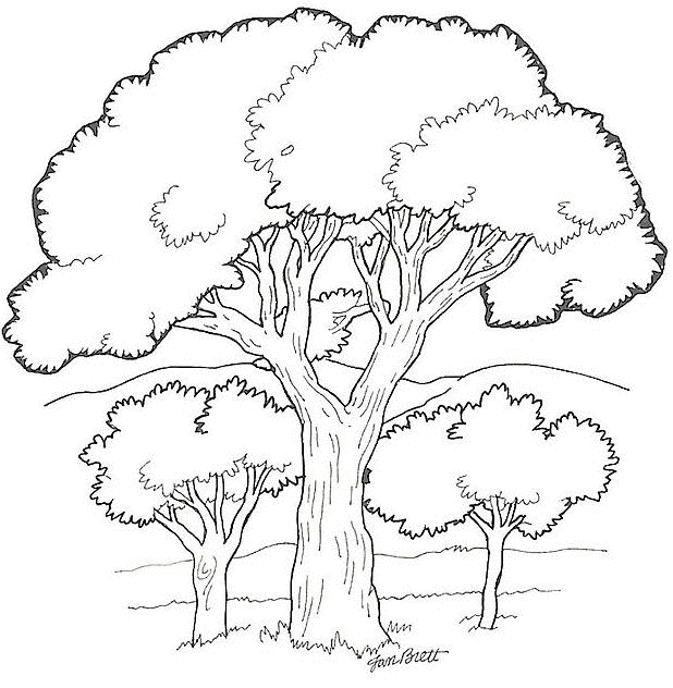 ぬりえページ: 木 (自然) #154679 - 無料の印刷可能なぬりえページ