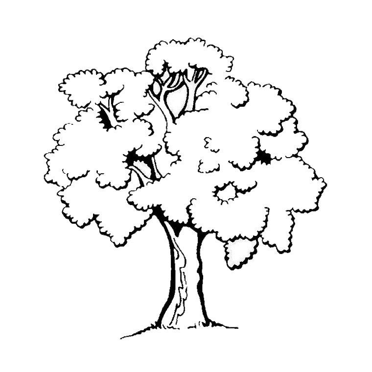 ぬりえページ: 木 (自然) #154683 - 無料の印刷可能なぬりえページ