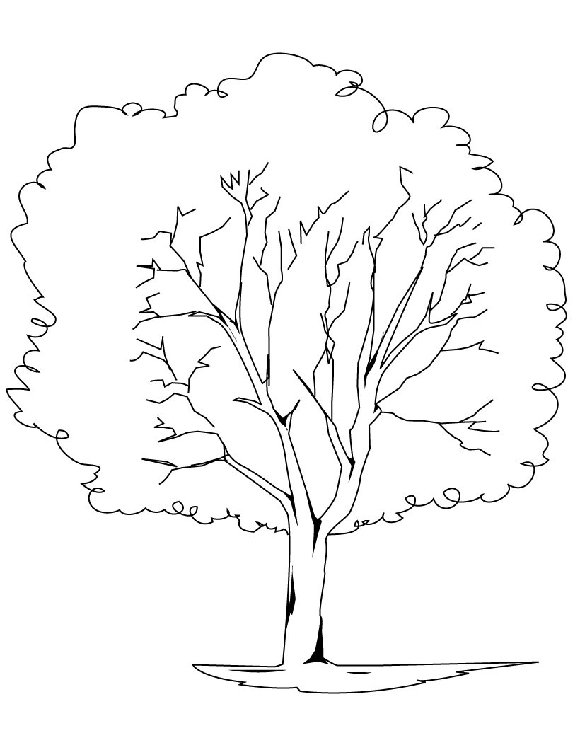 ぬりえページ: 木 (自然) #154693 - 無料の印刷可能なぬりえページ