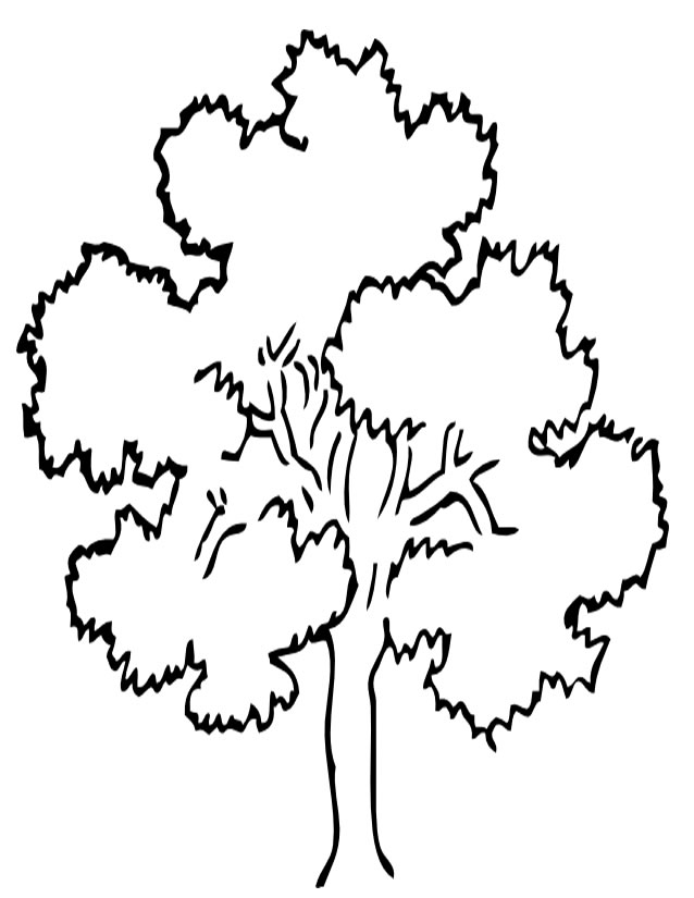 ぬりえページ: 木 (自然) #154701 - 無料の印刷可能なぬりえページ
