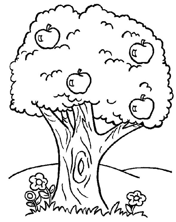 ぬりえページ: 木 (自然) #154702 - 無料の印刷可能なぬりえページ