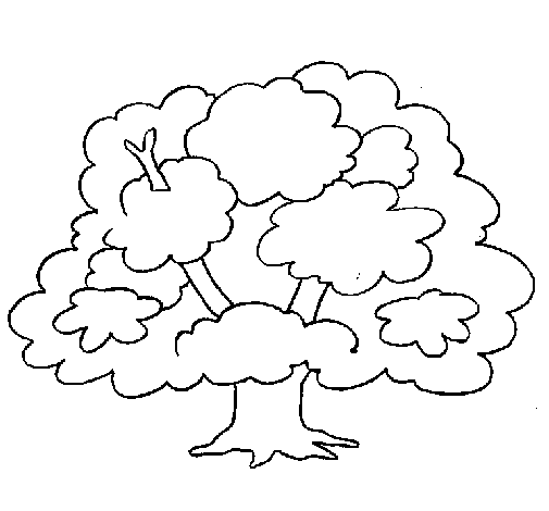 ぬりえページ: 木 (自然) #154730 - 無料の印刷可能なぬりえページ