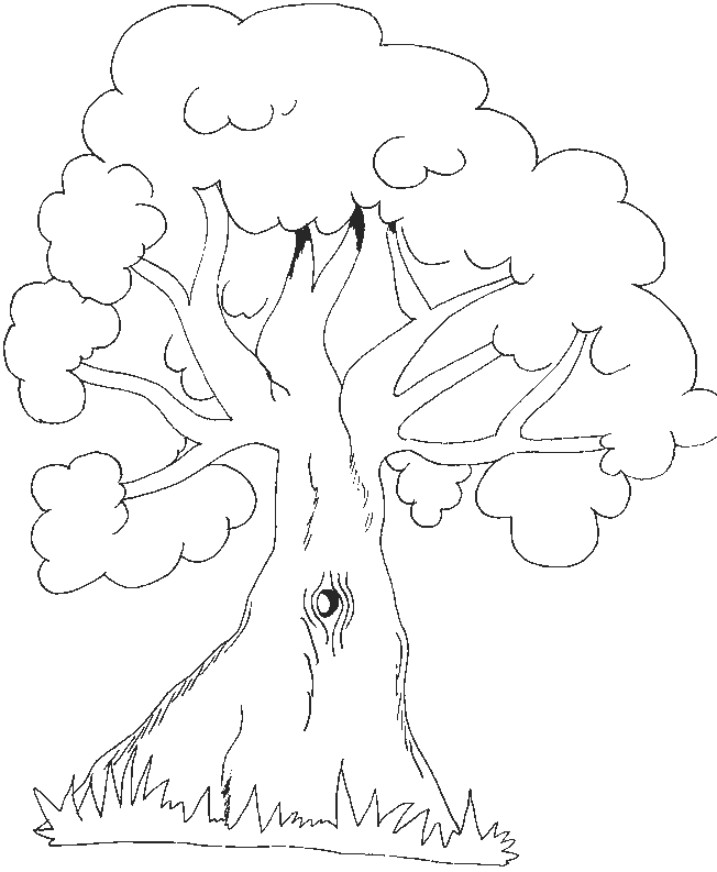 ぬりえページ: 木 (自然) #154736 - 無料の印刷可能なぬりえページ