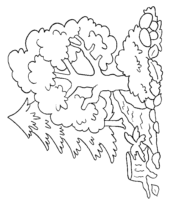 ぬりえページ: 木 (自然) #154741 - 無料の印刷可能なぬりえページ