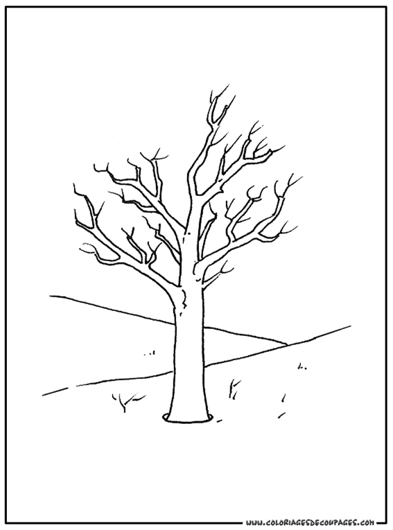 ぬりえページ: 木 (自然) #154777 - 無料の印刷可能なぬりえページ