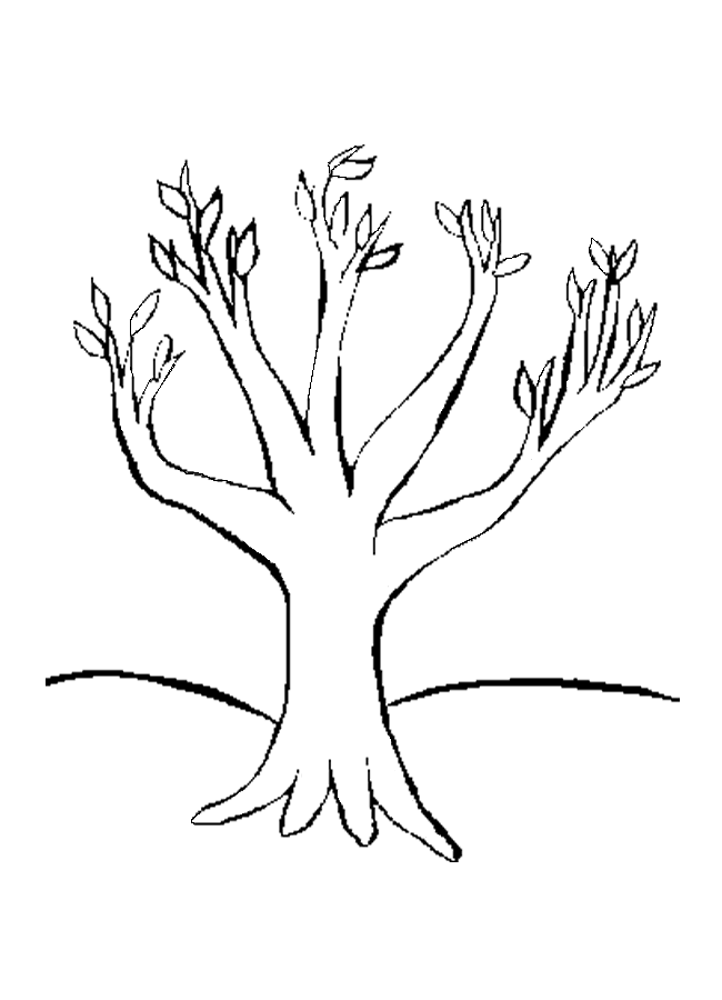 ぬりえページ: 木 (自然) #154810 - 無料の印刷可能なぬりえページ